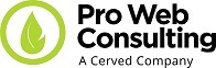 Pro Web Consulting logo