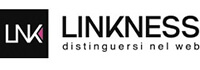 linkness logo