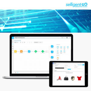 Selligent SmartAudiences