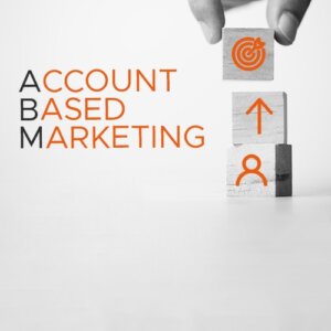 Account Based Marketing agenzia Spider 4 Web