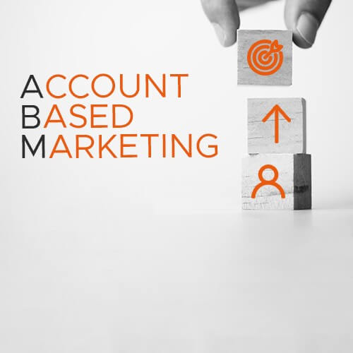 Account Based Marketing agenzia Spider 4 Web